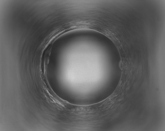 X0000054460338200507291354