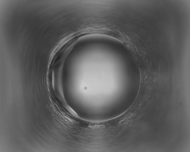 X0000054460340200507291354