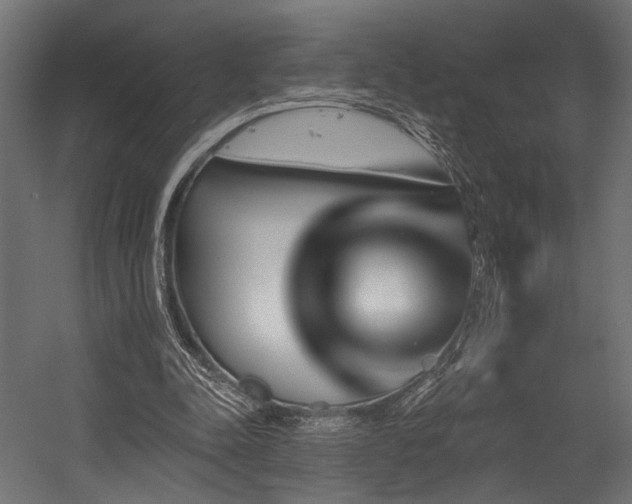 X0000054460342200507291354