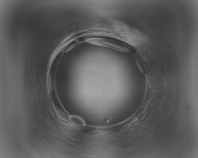 X0000054460343200507291354