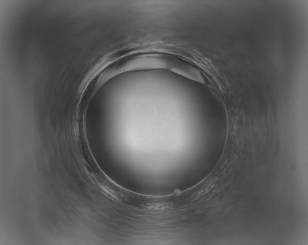 X0000054460344200507291354