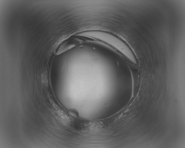 X0000054460345200507291354