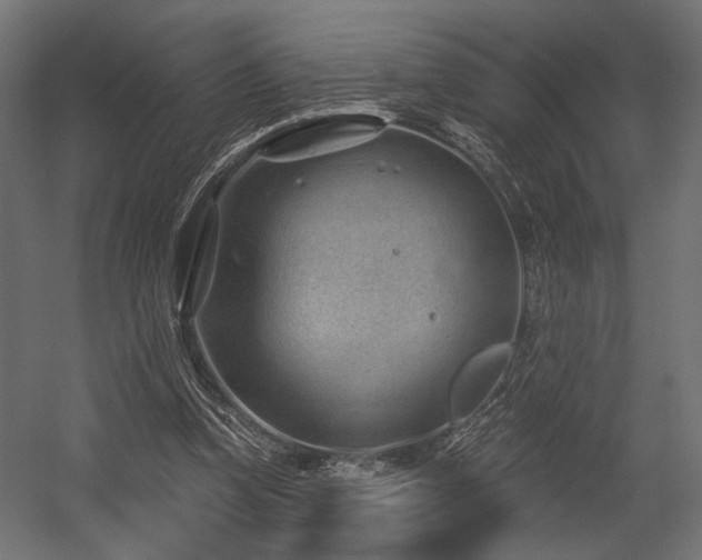 X0000054460346200507291354