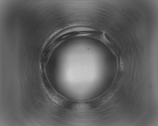 X0000054460348200507291354