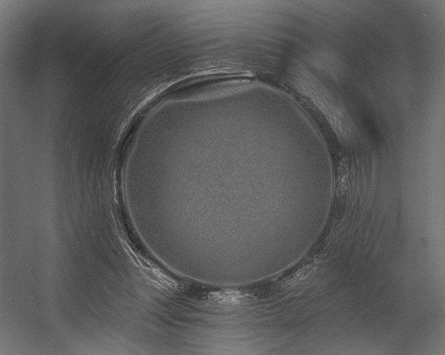 X0000054460351200507291354