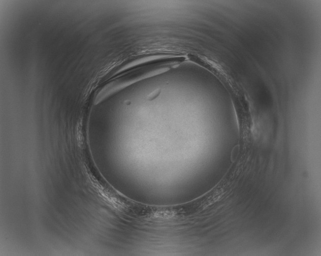 X0000054460353200507291354