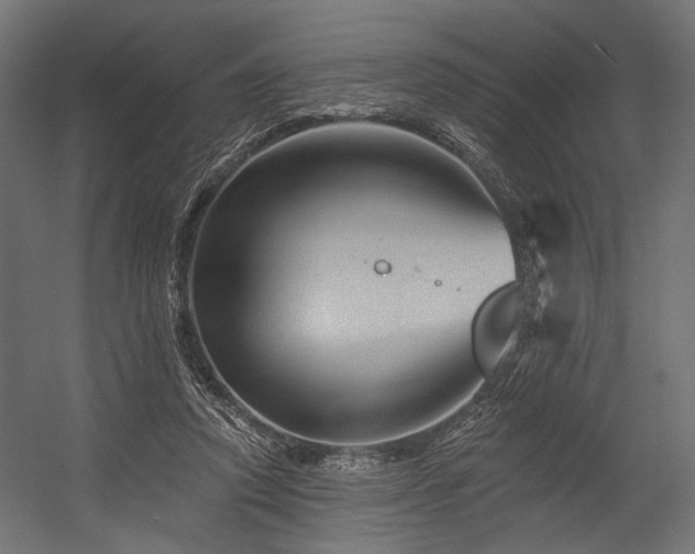 X0000054460354200507291354