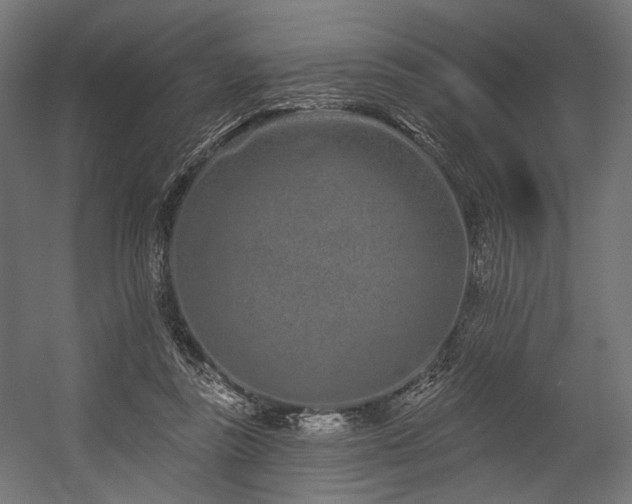 X0000054460355200507291354