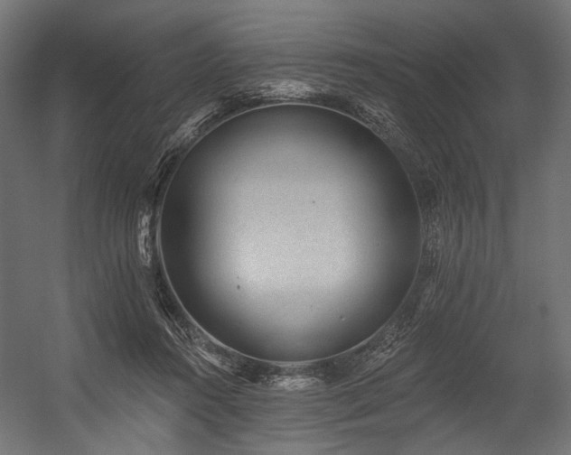 X0000054460360200507291354