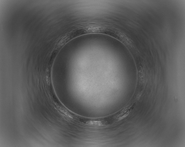 X0000054460361200507291354