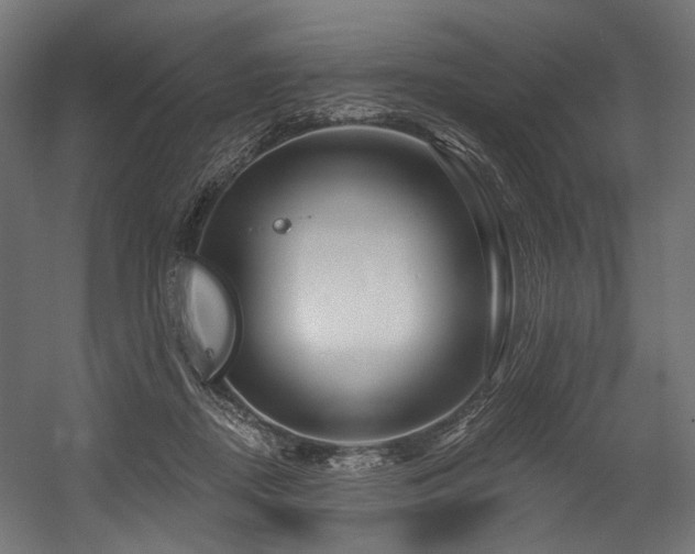 X0000054460362200507291354