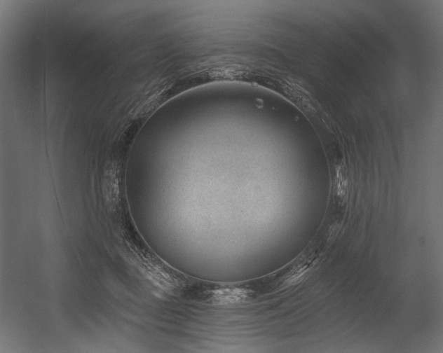 X0000054460363200507291354