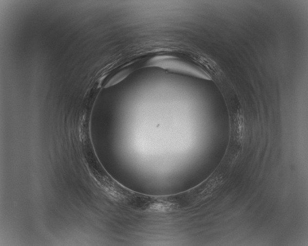 X0000054460364200507291354