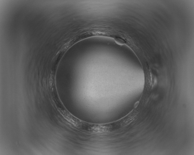 X0000054460367200507291354