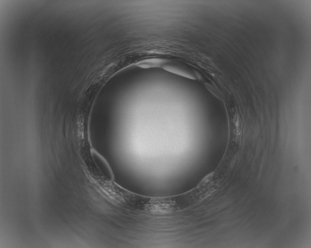 X0000054460368200507291354