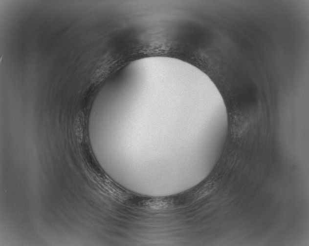 X0000054460370200507291354