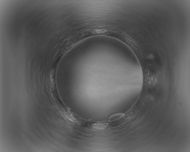 X0000054460373200507291354