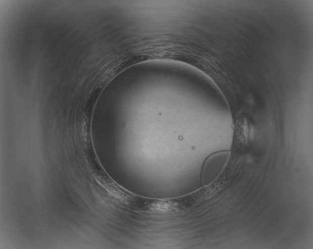 X0000054460375200507291354