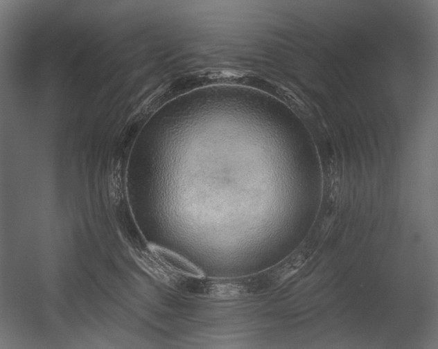 X0000054460376200507291354