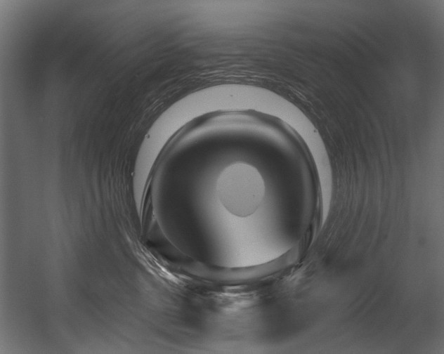 X0000054460380200507291355