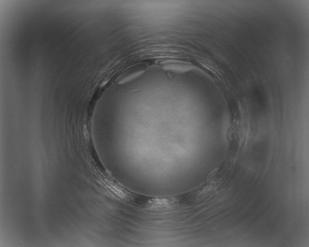 X0000054460381200507291355