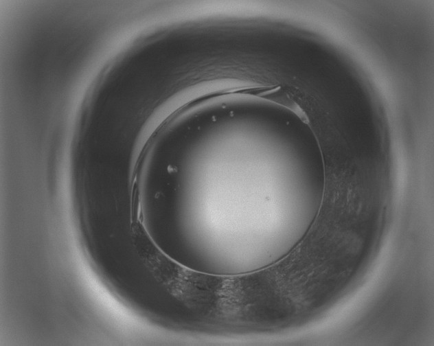 X0000054460382200507291355