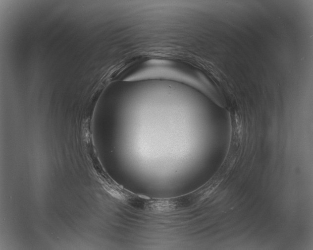 X0000054460383200507291355