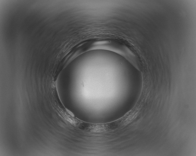 X0000054460384200507291355