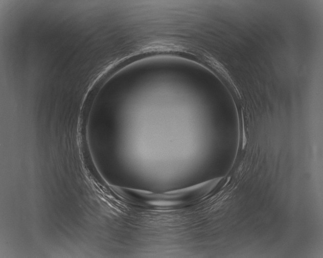 X0000054460387200507291354