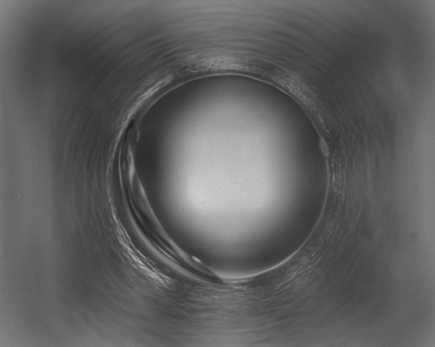 X0000054460390200507291354