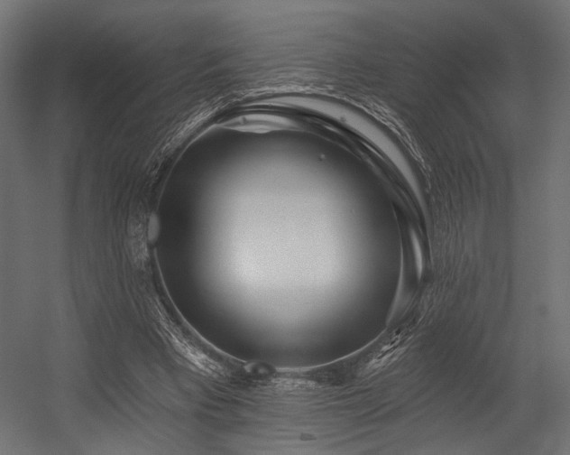 X0000054460393200507291354