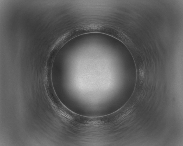 X0000054460396200507291354