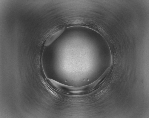 X0000054460397200507291354