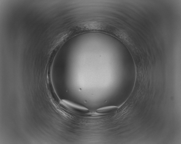 X0000054460398200507291354