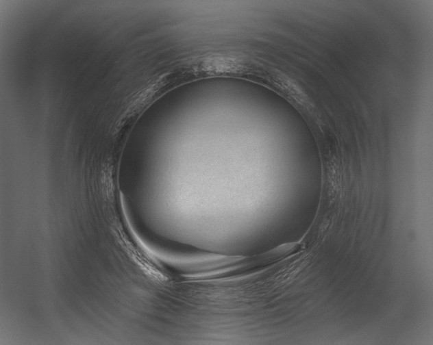 X0000054460401200507291354