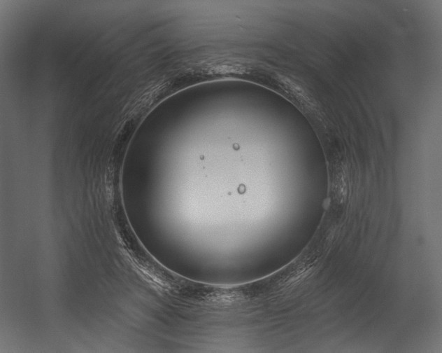 X0000054460402200507291354