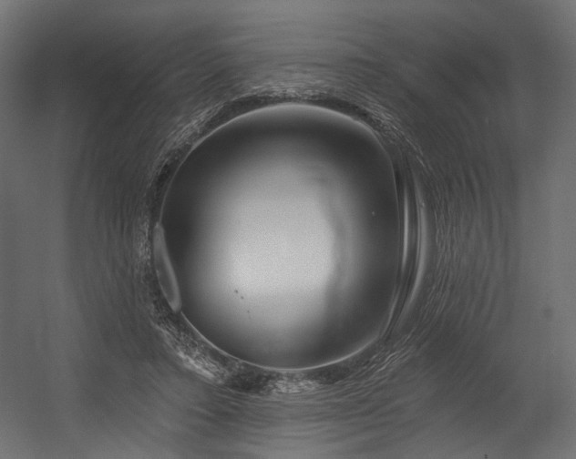 X0000054460403200507291353