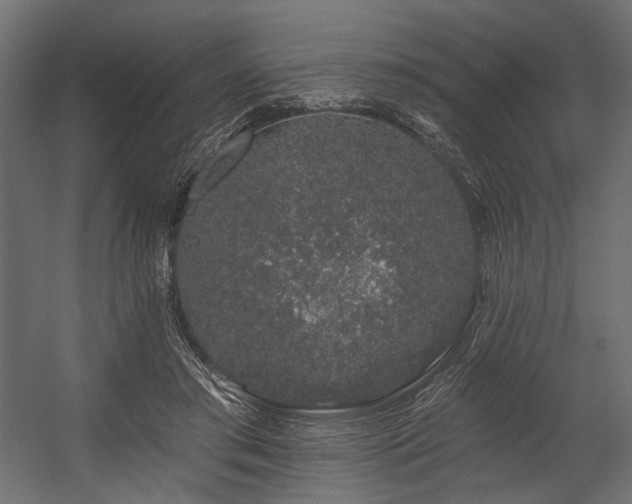 X0000054460405200507291353