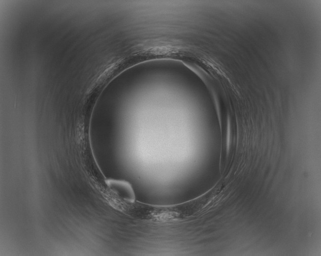 X0000054460407200507291353