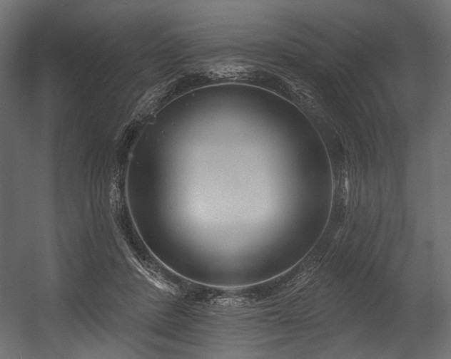 X0000054460408200507291353