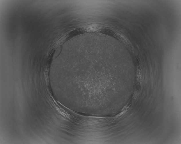 X0000054460409200507291353