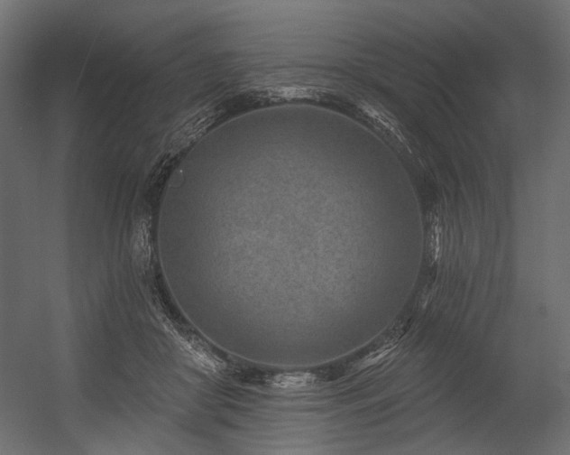 X0000054460410200507291353