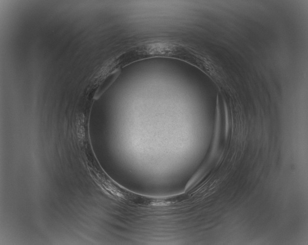 X0000054460413200507291353