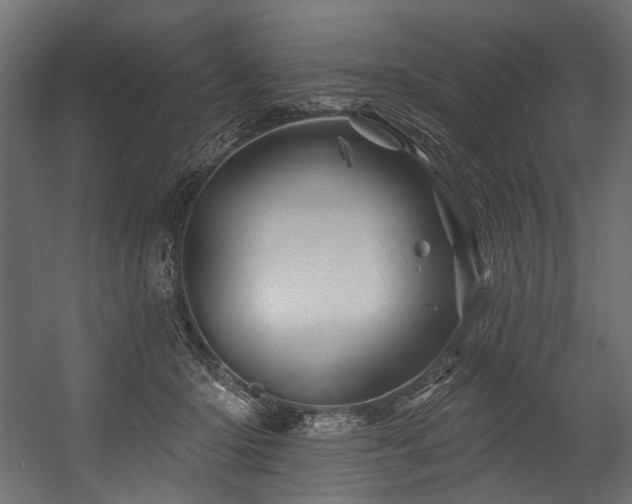 X0000054460414200507291353