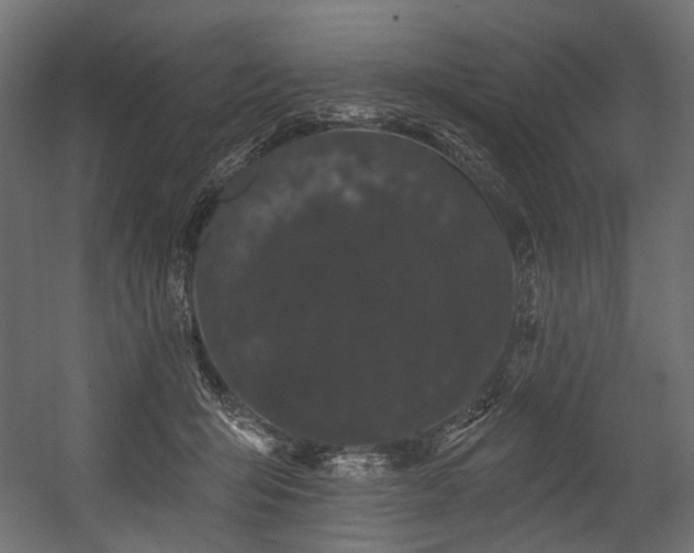 X0000054460415200507291353