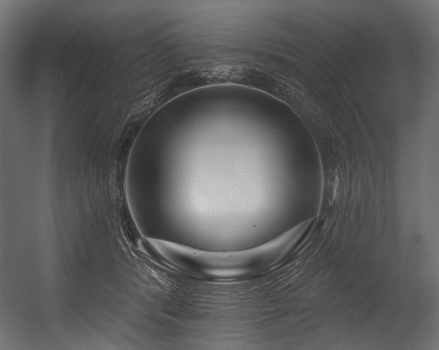 X0000054460416200507291353