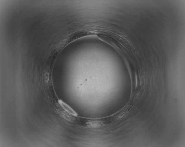 X0000054460417200507291353