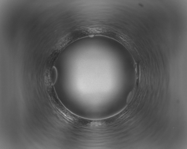 X0000054460418200507291353