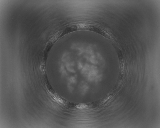 X0000054460419200507291353