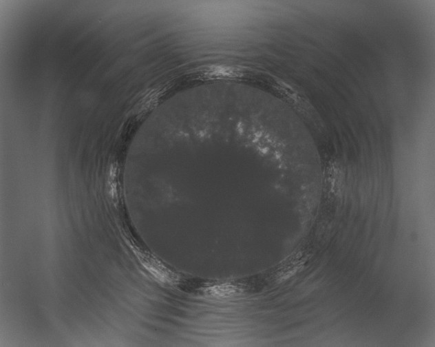 X0000054460423200507291353